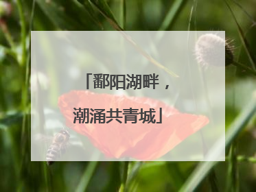 鄱阳湖畔，潮涌共青城